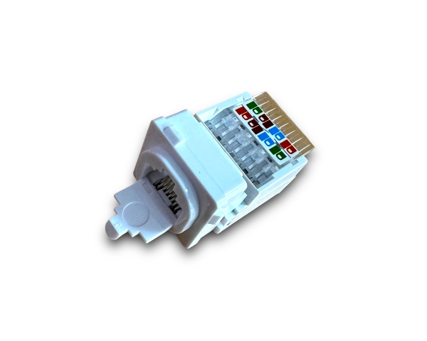 CAT6 Module